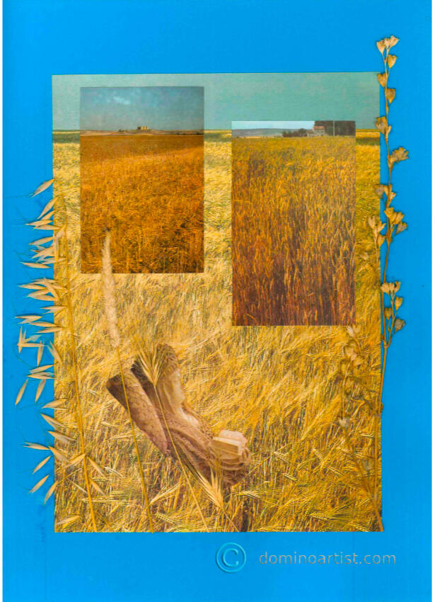 Dreaming of the Breadbasket