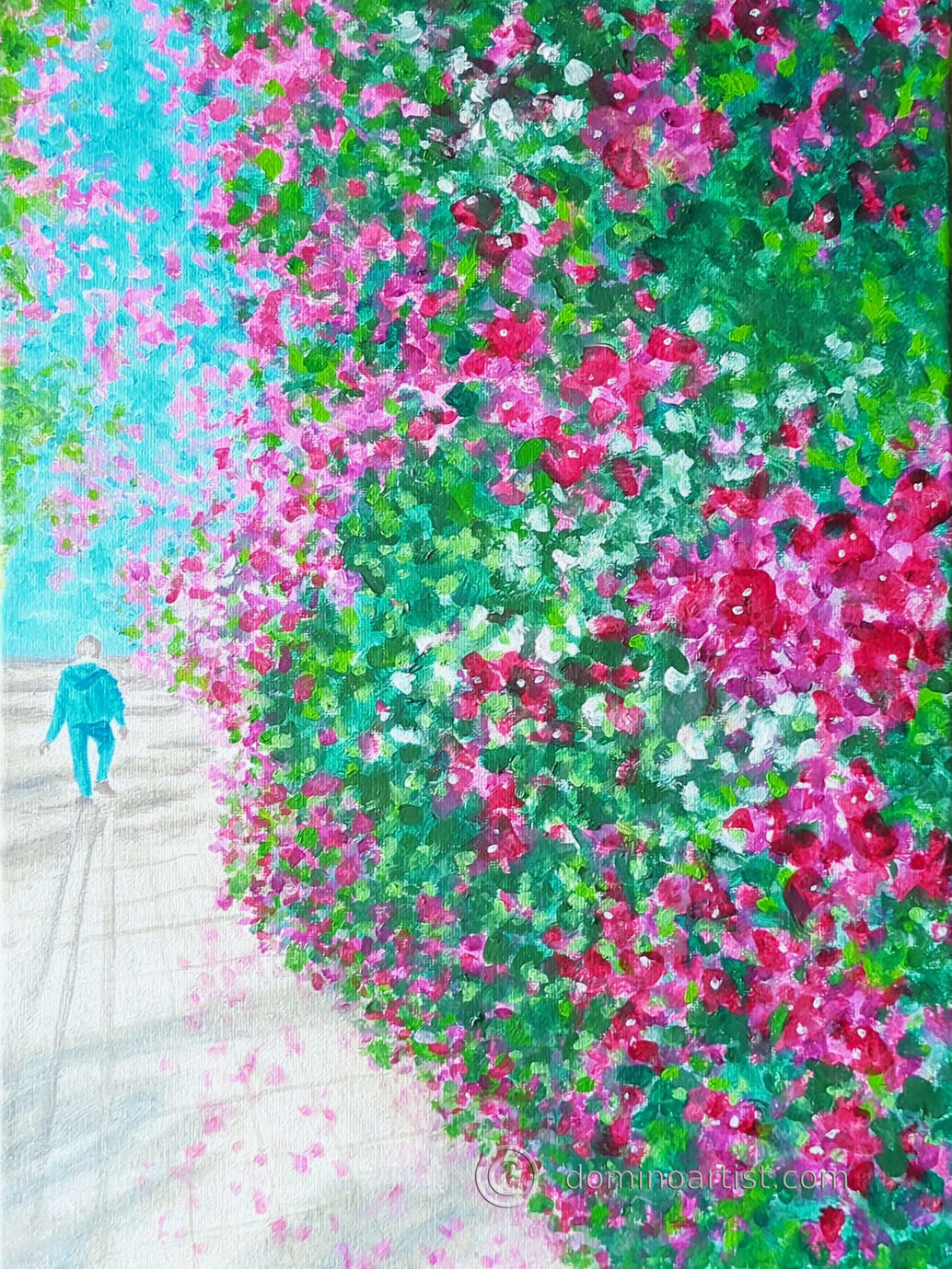 Bougainvillea