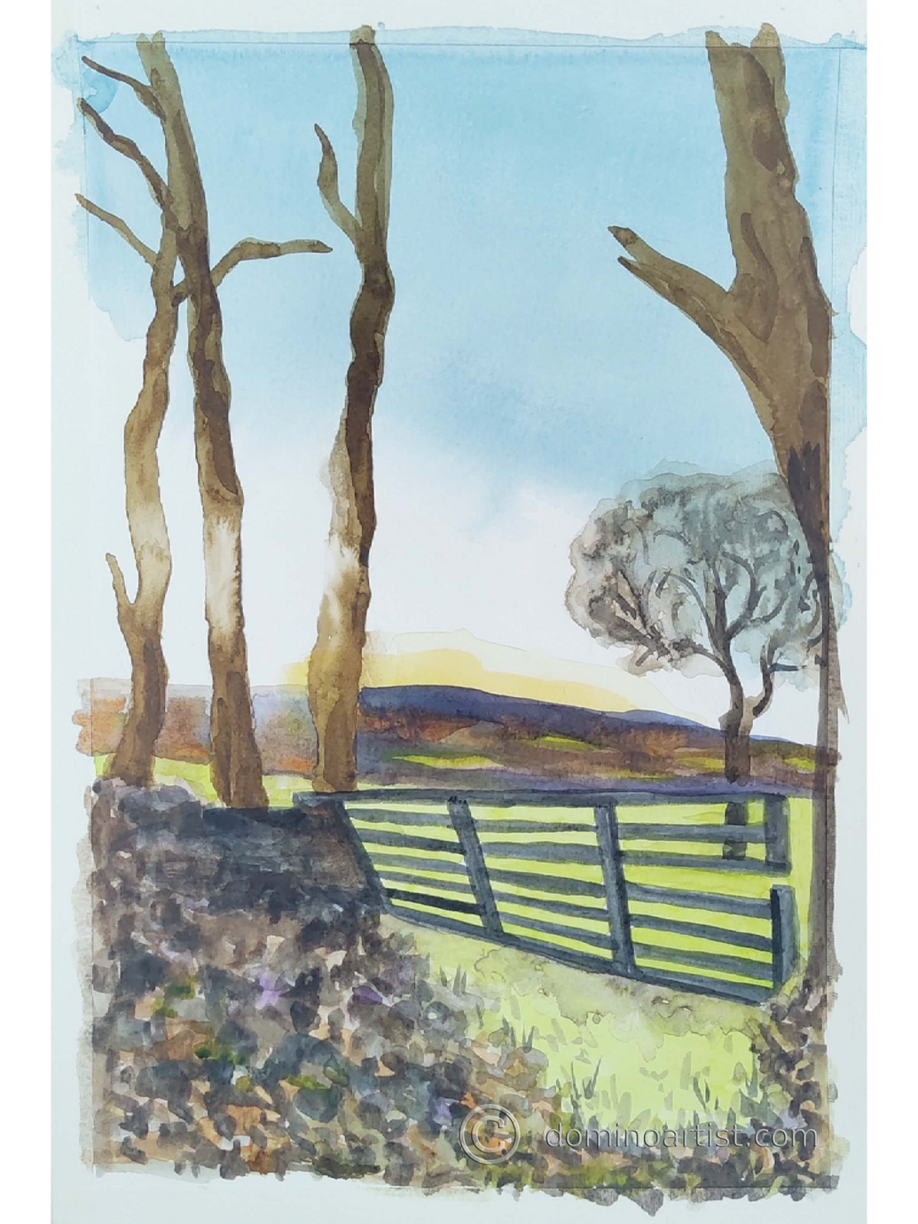 Trees at dawn